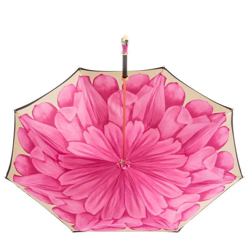 Viola Umbrella 