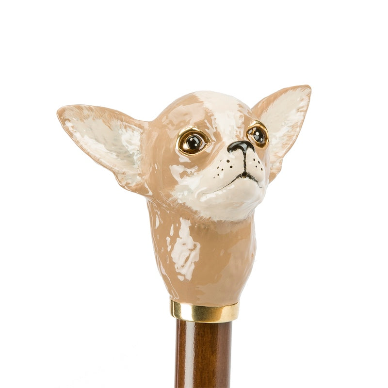 Viola Umbrella 