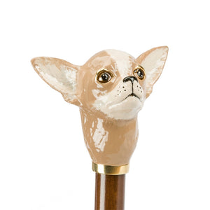 Viola Umbrella 