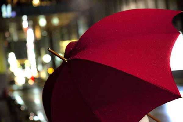Viola Umbrella 