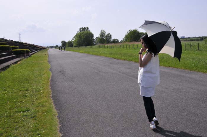 Viola Umbrella 